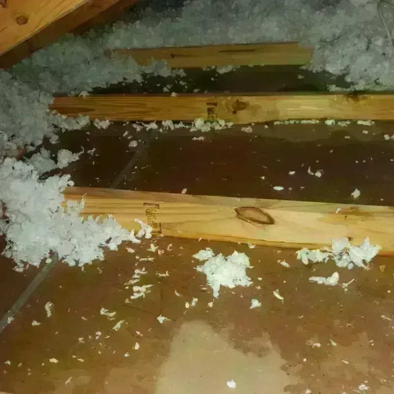 Attic Water Damage in White Center, WA