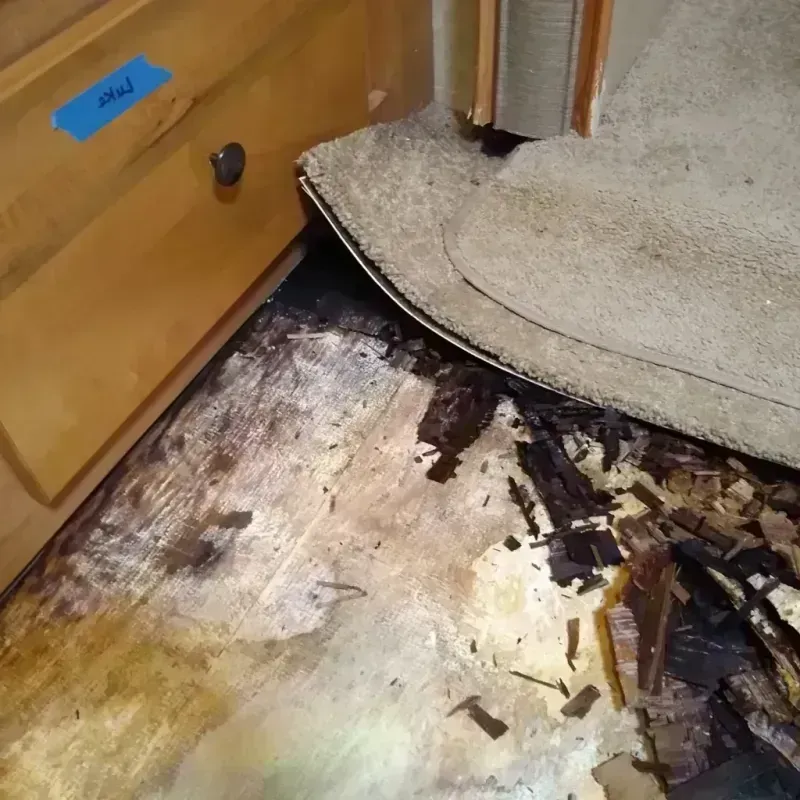 Wood Floor Water Damage in White Center, WA